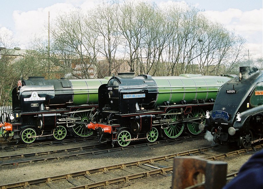 Peppercorn A1 60163 Tornado, A2 60532 Blue Peter and Gresley A4 60009 Union of South Africa.