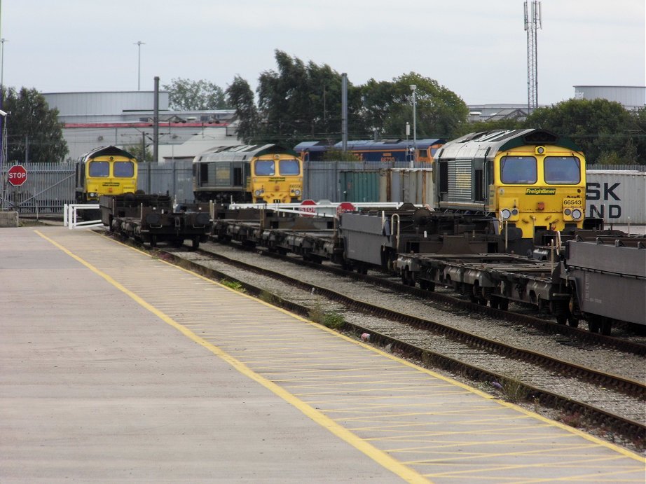 66543 and other class 66 locos, Sun 15/9/2013. 